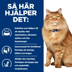 Hill's Prescription Diet Feline k/d j/d Kidney + Mobility Chicken 12x85 g