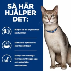 Hill's Prescription Diet Feline k/d Chicken 156 g
