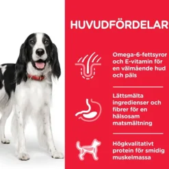 Hills Science Plan Canine Adult Chicken