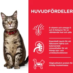Hill's Science Plan Cat Adult Chicken