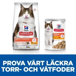 Hill's Science Plan Cat Adult Perfect Digestion Chicken & Brown Rice