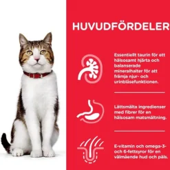 Hill's Science Plan Cat Mature Adult 7+ Chicken