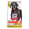 Hill's Science Plan Dog Adult 1+ Large Breed Perfect Digestion Chicken & Brown Rice 14 kg