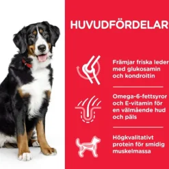 Hill's Science Plan Dog Adult Large Breed Chicken