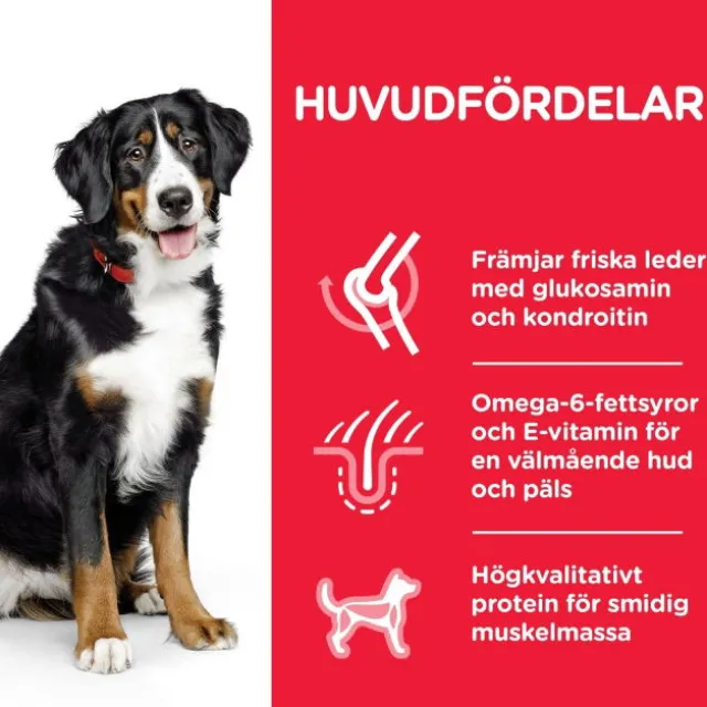 Hill's Science Plan Dog Adult Large Breed Chicken