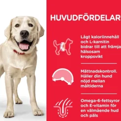 Hill's Science Plan Dog Adult Light Large Breed Chicken