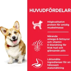 Hill's Science Plan Dog Adult Small & Mini Chicken