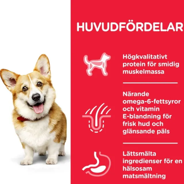 Hill's Science Plan Dog Adult Small & Mini Chicken