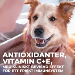Hill's Science Plan Dog Mature Adult 7+ Senior Vitality Medium Chicken