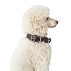 Hunter Aalborg Hundhalsband Läder Mörkbrun