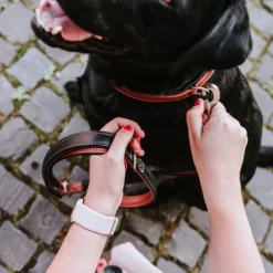 Hunter Canadian UP Hundhalsband Läder Brun