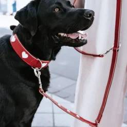 Hunter Hundhalsband Läder Love Röd