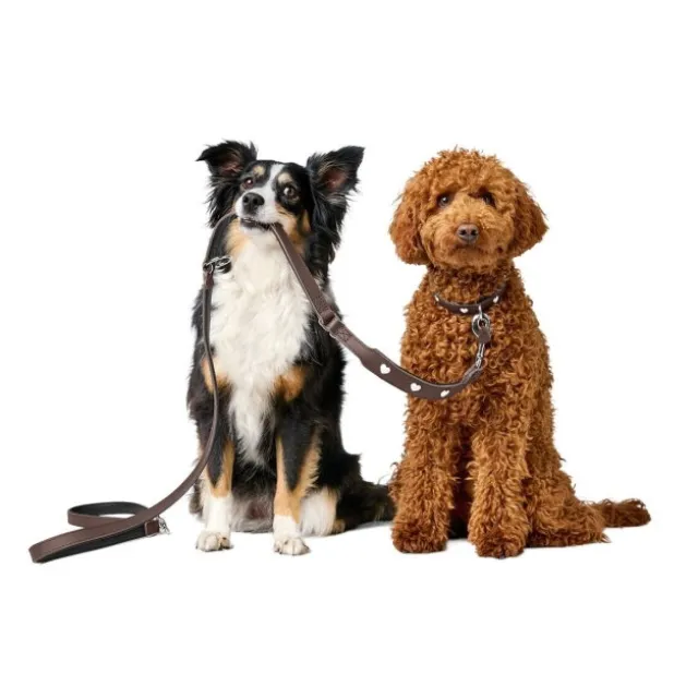 Hunter Hundhalsband Läder Love Brun