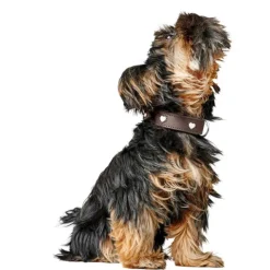 Hunter Hundhalsband Läder Love Brun