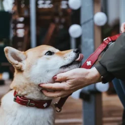 Hunter Hundhalsband Läder Swiss Röd