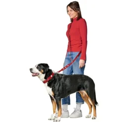Hunter Training Hundkoppel Läder Swiss Röd
