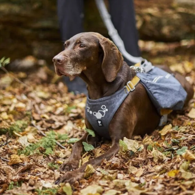 Hurtta Expedition Pack ECO Klövjeväska Grå