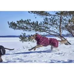 Hurtta Extreme Warmer III ECO Hundjacka Lila