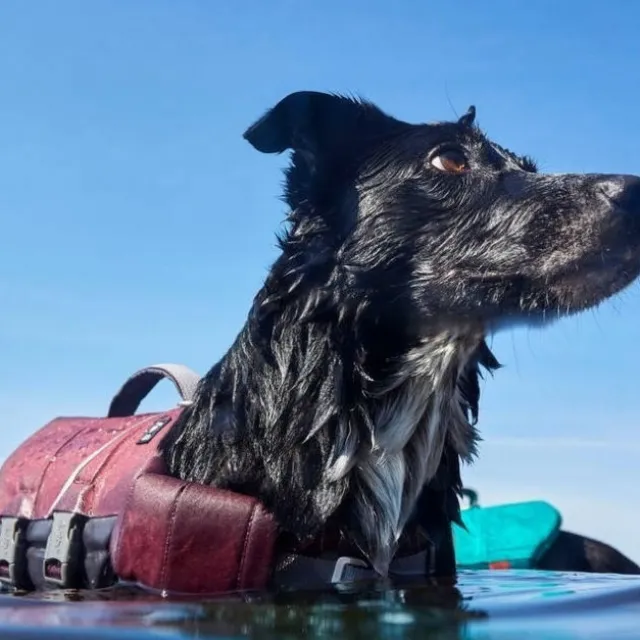 Hurtta Life Savior ECO Hundflytväst Lila
