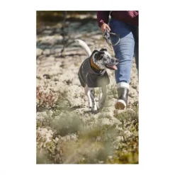 Hurtta Mudventure ECO Regnjacka Hund Svart