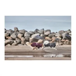 Hurtta Mudventure ECO Regnjacka Hund Svart