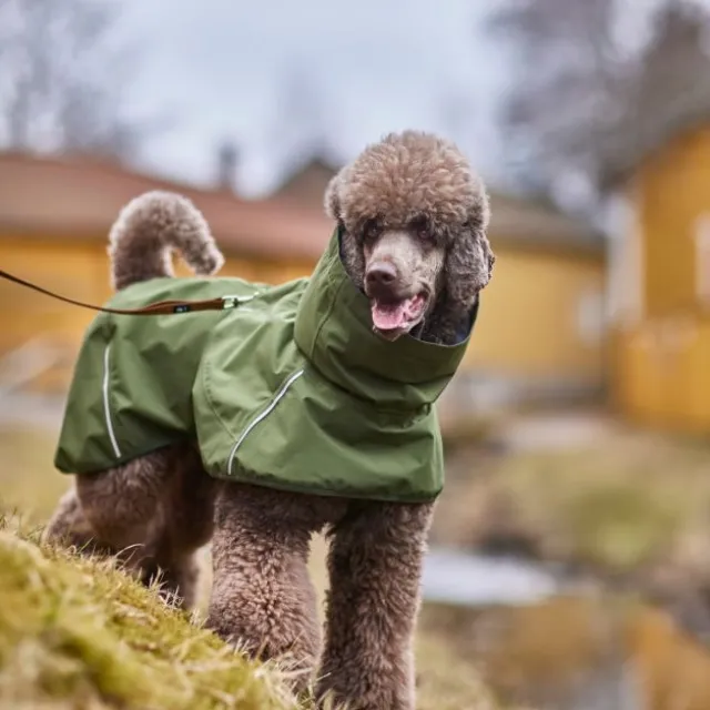 Hurtta Mudventure ECO Regnjacka till Hund Grön