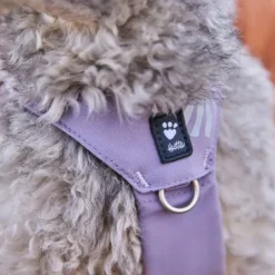 Hurtta Seeker Hundsele Lavendel Lila