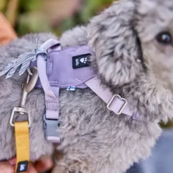Hurtta Seeker Hundsele Lavendel Lila