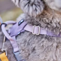 Hurtta Seeker Hundsele Lavendel Lila