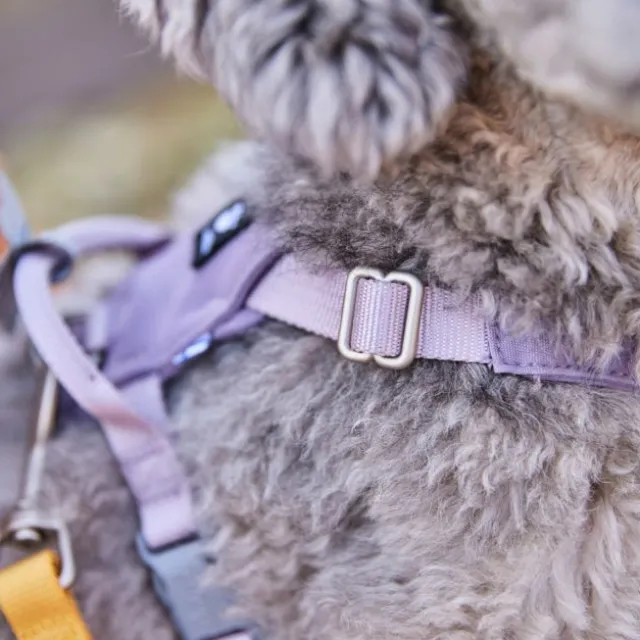 Hurtta Seeker Hundsele Lavendel Lila