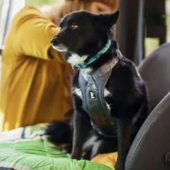 Hurtta Travel Harness ECO Bilsele Svart