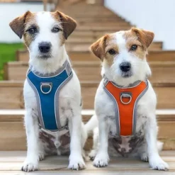 Hurtta Venture No-Pull Hundsele Orange