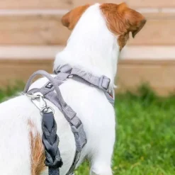 Hurtta Venture No-Pull Hundsele Orange