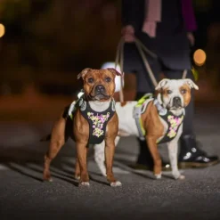 Hurtta Weekend Warrior Hundsele Neon/Svart