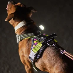 Hurtta Weekend Warrior Hundsele Neon/Svart