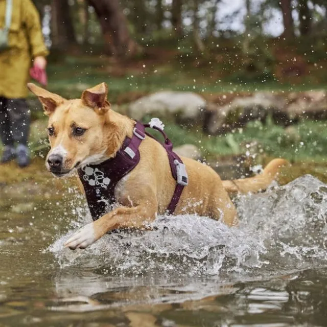 Hurtta Weekend Warrior II ECO Hundsele Lila