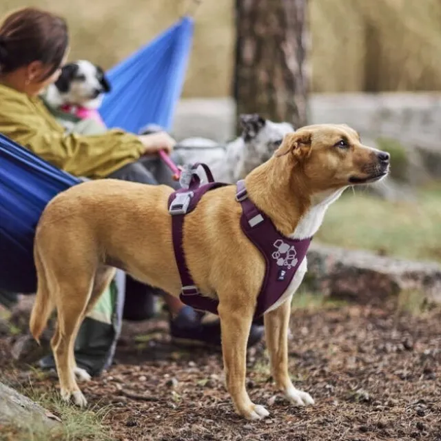 Hurtta Weekend Warrior II ECO Hundsele Lila