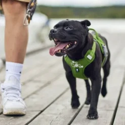 Hurtta Weekend Warrior II ECO Hundsele Grön