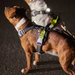 Hurtta Weekend Warrior Neon II Hundsele Svart
