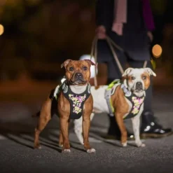 Hurtta Weekend Warrior Neon II Hundsele Svart