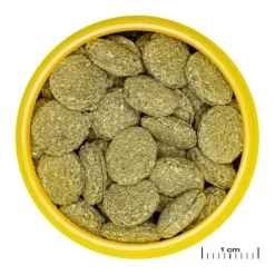 JBL Pronovo Pleco Wafer M Fiskfoder