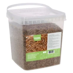 Kerbl Mjölmaskar 900 g