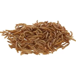 Kerbl Mjölmaskar 900 g