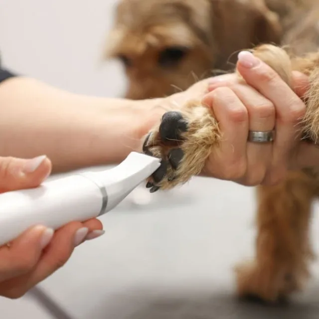 Kerbl Pet Multi-Trimmer 4-i-1