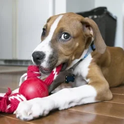KONG Boll med Snöre S