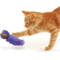 KONG Cat Active Korkboll