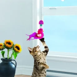 KONG Cat Connects Kattvippa till Fönster