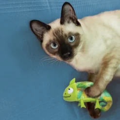KONG Cat Refillables Kameleont med Kattmynta