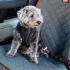KONG Deluxe Swivel Fäste för Bilsele Hund