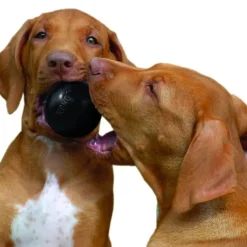 KONG Extreme Boll Svart